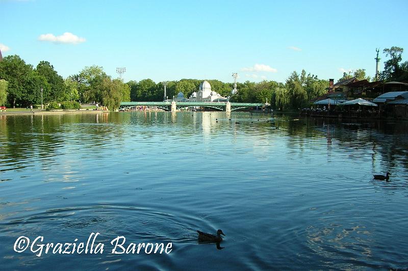 il laghetto del parco nei pressi della piazza degli eroi.JPG